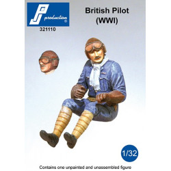 321110 - British Pilot seated in a/c (WW1)
